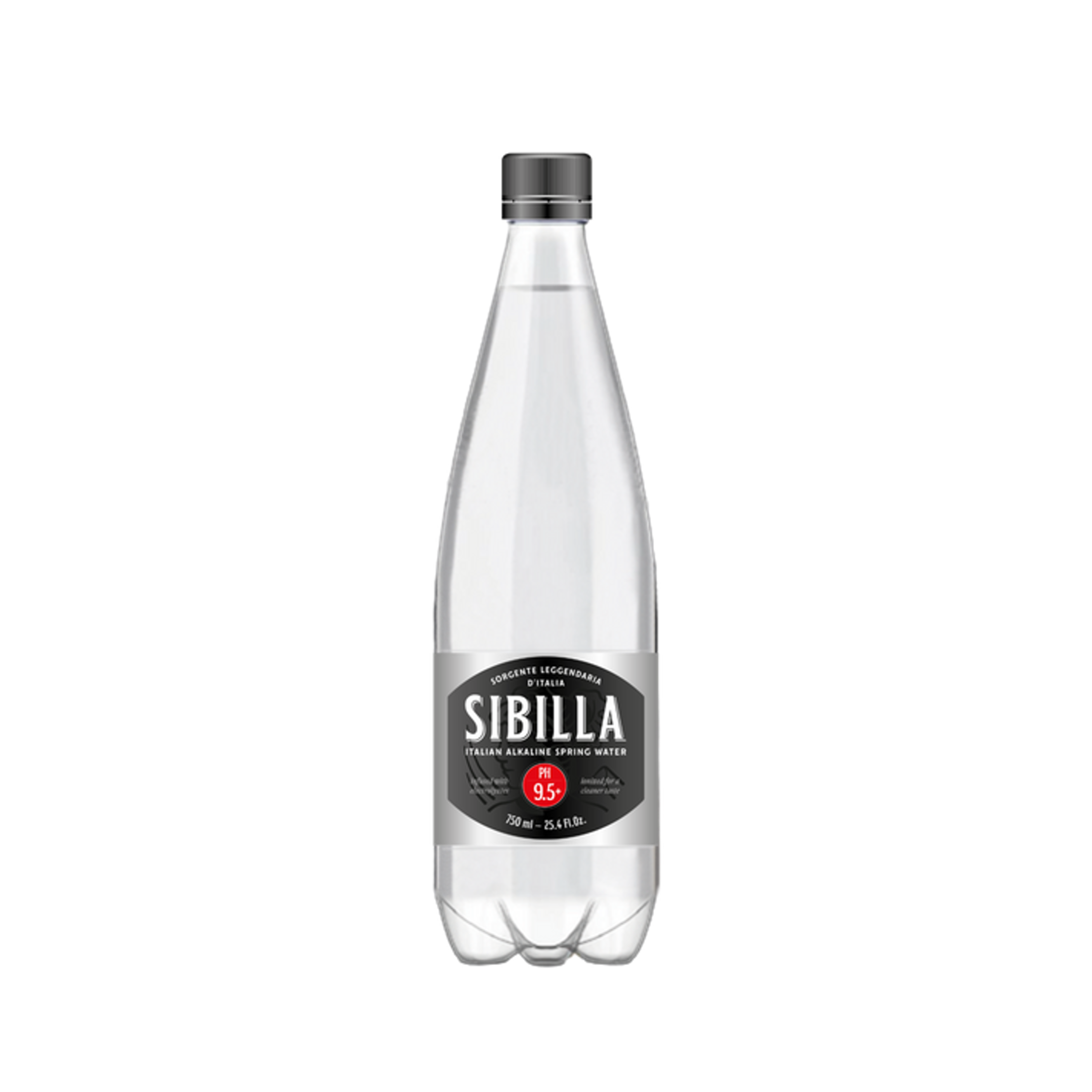 מים בסיסיים 9.5 pH — זכוכית 750 מ״ל